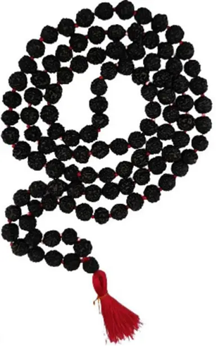 Rudraksha Mala for spiritual protection