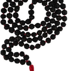 Black Rudraksh Mala