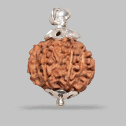 8 Mukhi Rudraksha Pendant