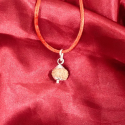9 Mukhi Rudraksha Pendant