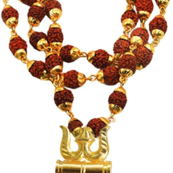 Loard Shiv Trishul Damru Locket with Puchmukhi Rudraksha Mala Pendant Necklace for Men and Women Search this page