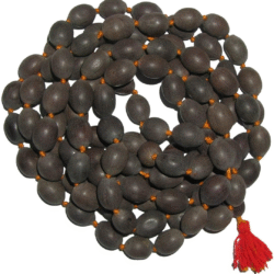 Kamal gatta mala Original, Lotus mala,108 Lotus Seeds Kamal Gatta Mala for Japa, Laxmi Pooja and Wearing