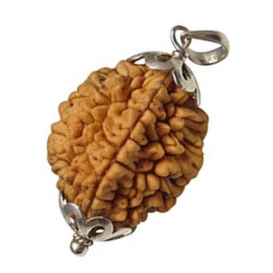 2 Mukhi Rudraksha Pendant