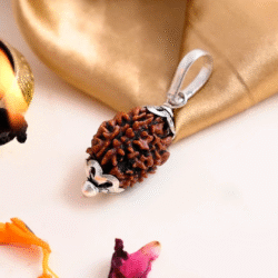 3 Mukhi Rudraksha Pendant