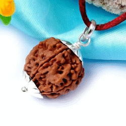 4 Mukhi Rudraksha Pendant