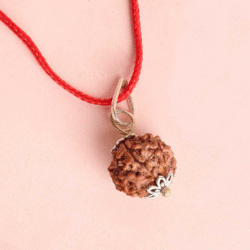 6 Mukhi Rudraksha Pendant
